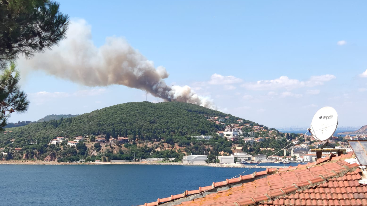 Heybeliada'da orman yangını