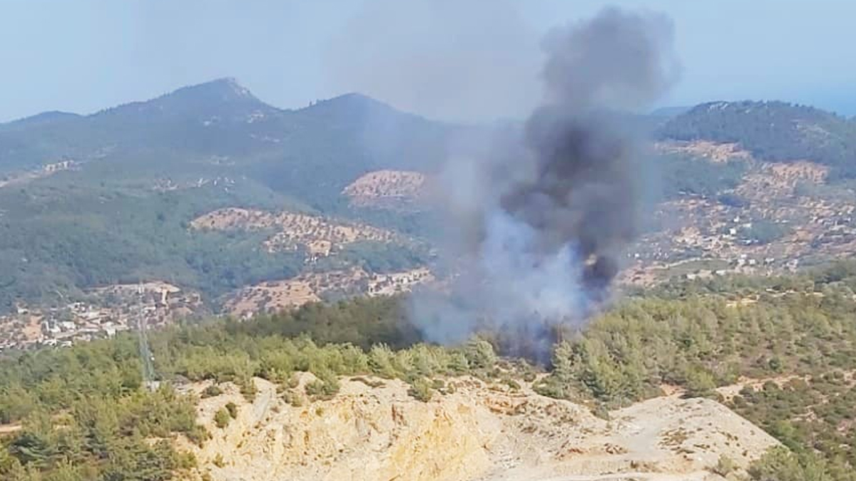 İki farklı bölgede orman yangını