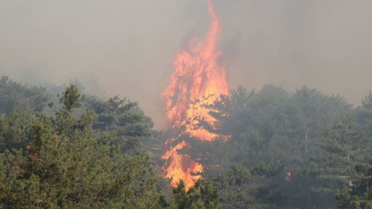 Orman Genel Müdürlüğü: 13 yangın kontrol altında