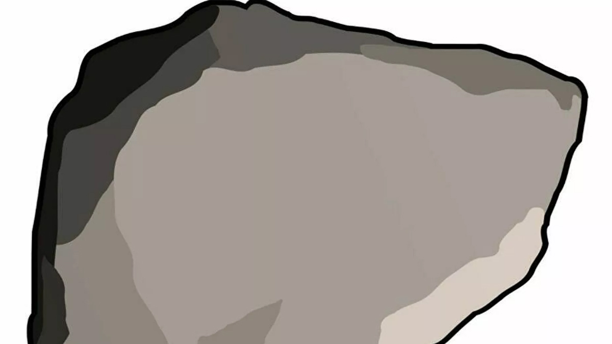 NFT'de bir kaya parçasına rekor ödeme