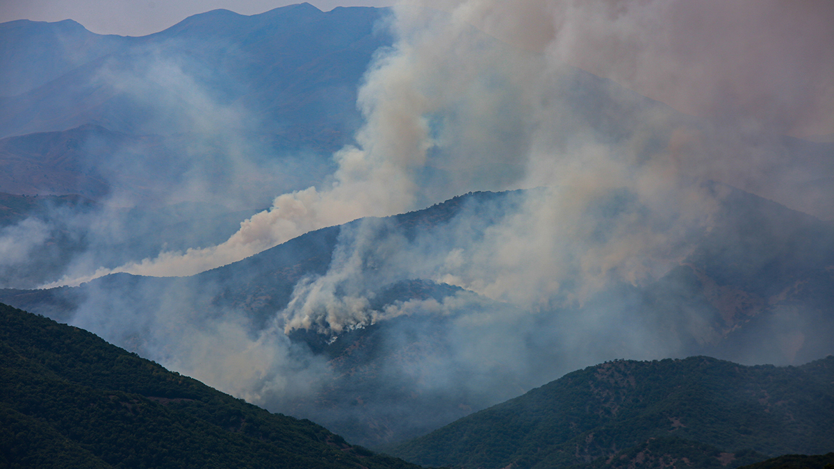 Tunceli'deki yangına bilerek mi müdahale edilmiyor?