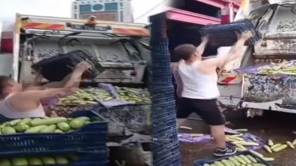 Kasa kasa çöpe atmıştı! Bakan Muş'tan açıklama geldi