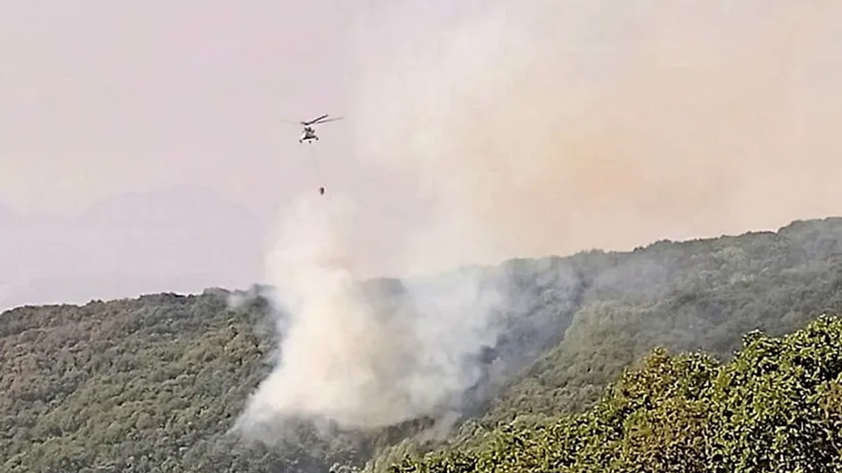 Tunceli 12 gündür yanıyor: Kamuoyunun ısrarı müdahaleyi başlattı