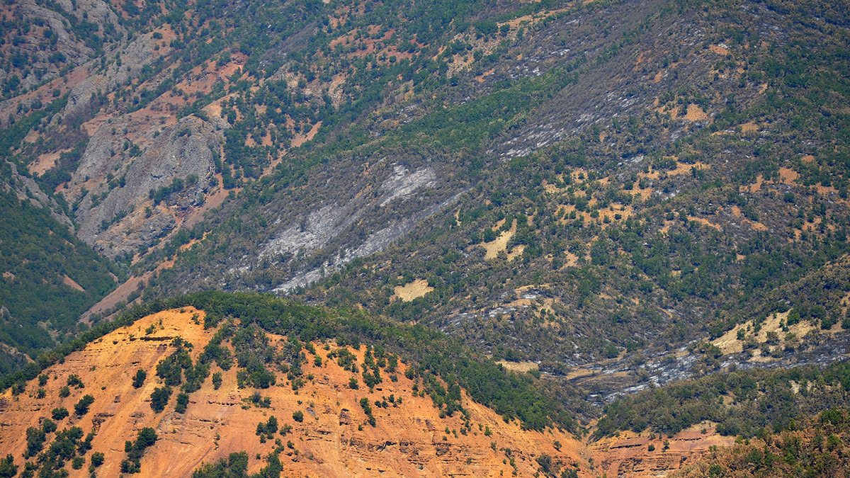 Tunceli'nin Hozat ilçesindeki orman yangını kontrol altına alındı