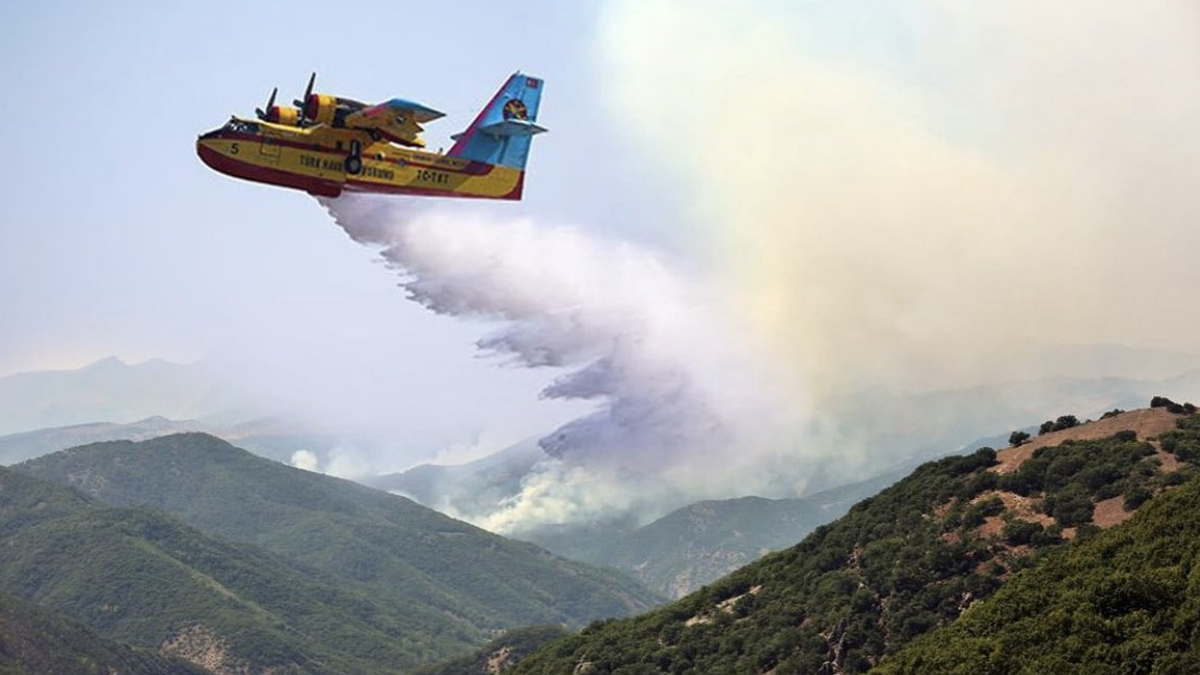 AK Partili başkandan yangına photoshopla müdahale