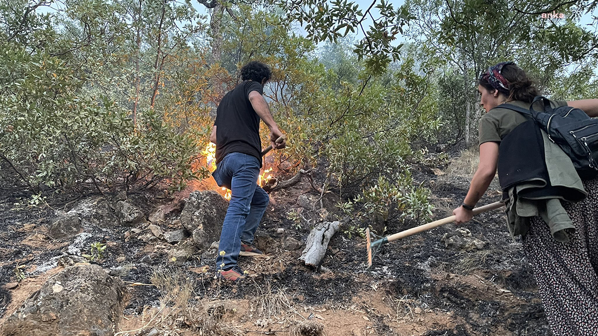 Tunceli'de bir orman yangını daha