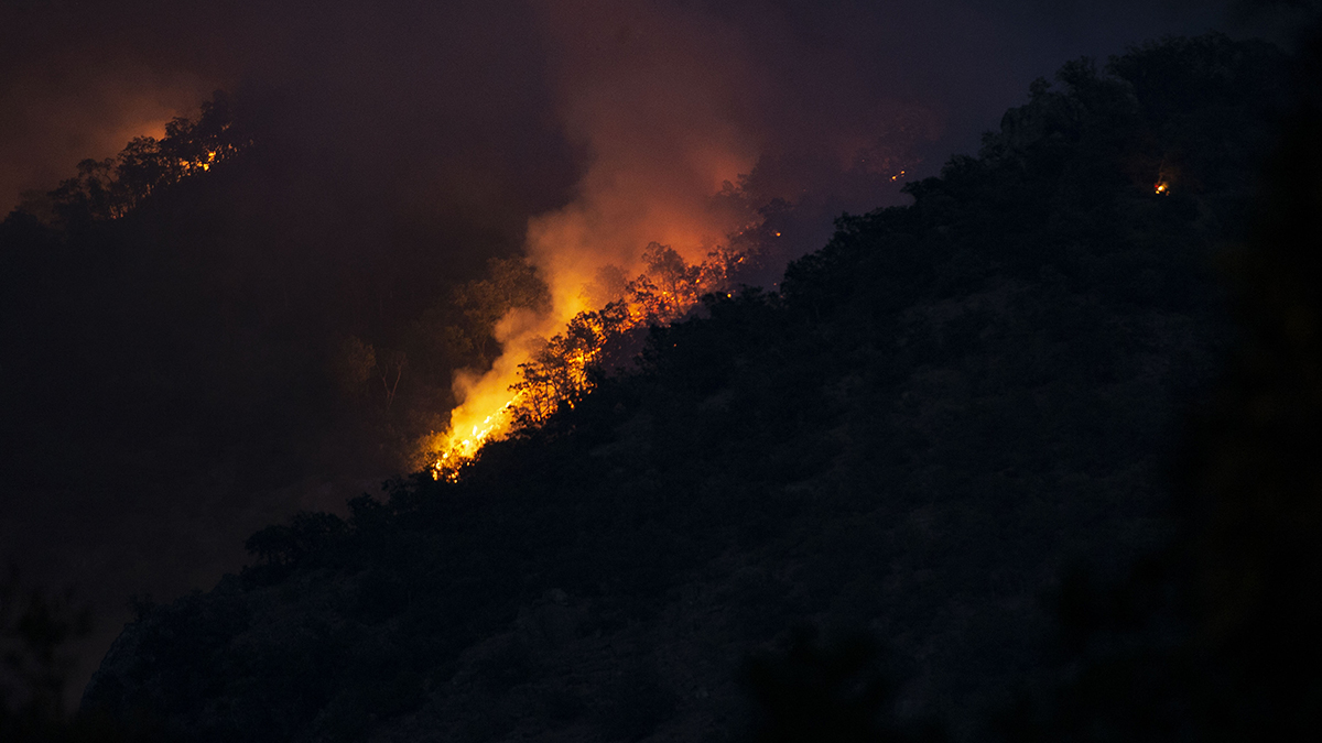 Tunceli Valiliği'nden yangın açıklaması