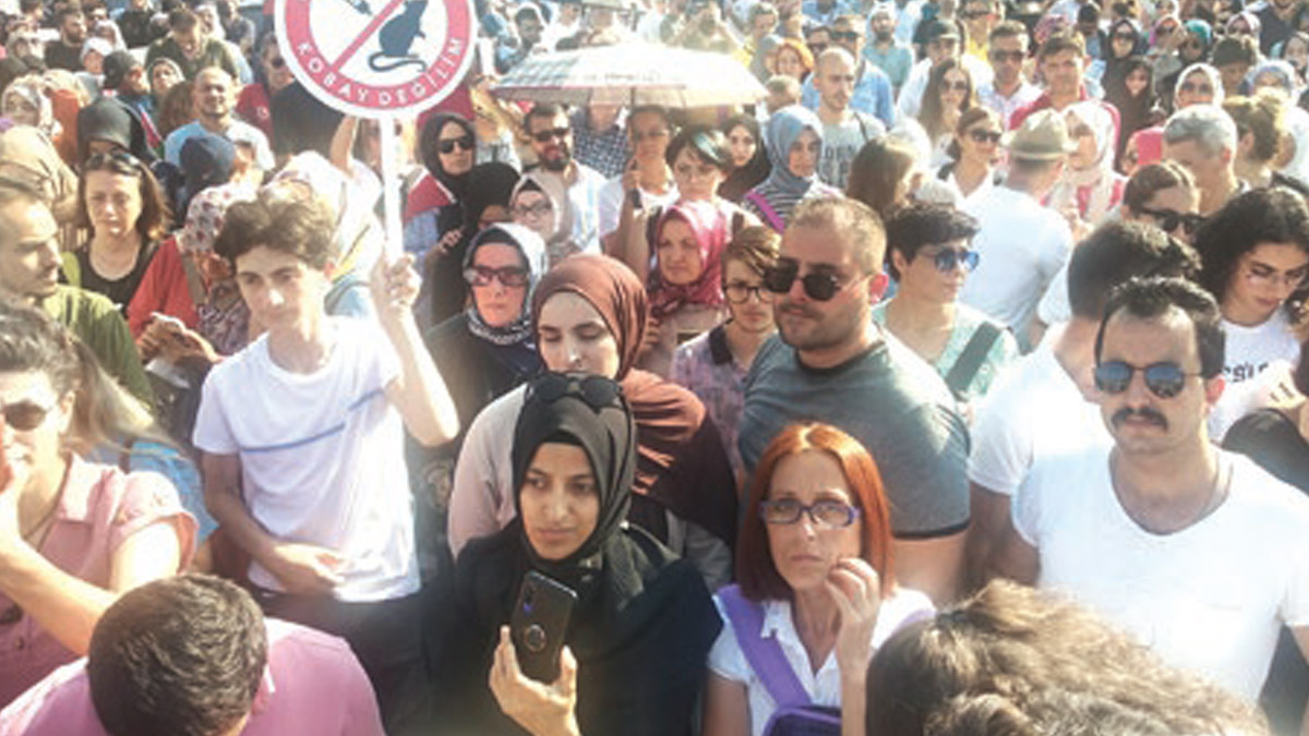 'Komplo' sokakta bilim isyanda