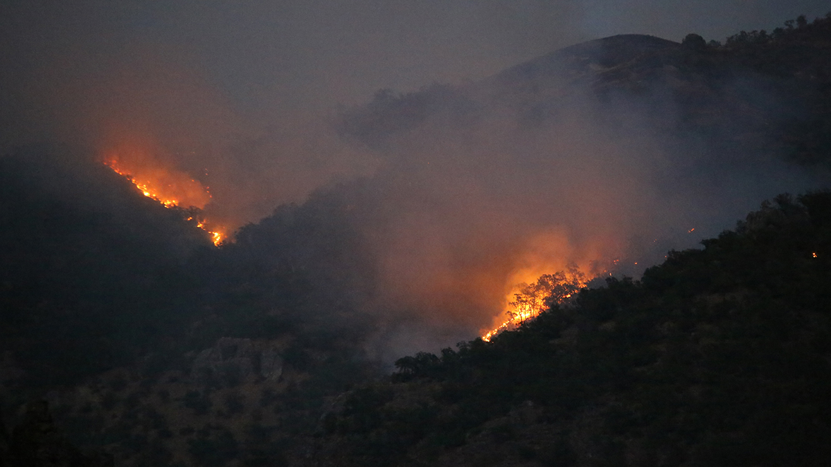 Munzur Vadisi'ndeki yangına müdahale sürüyor