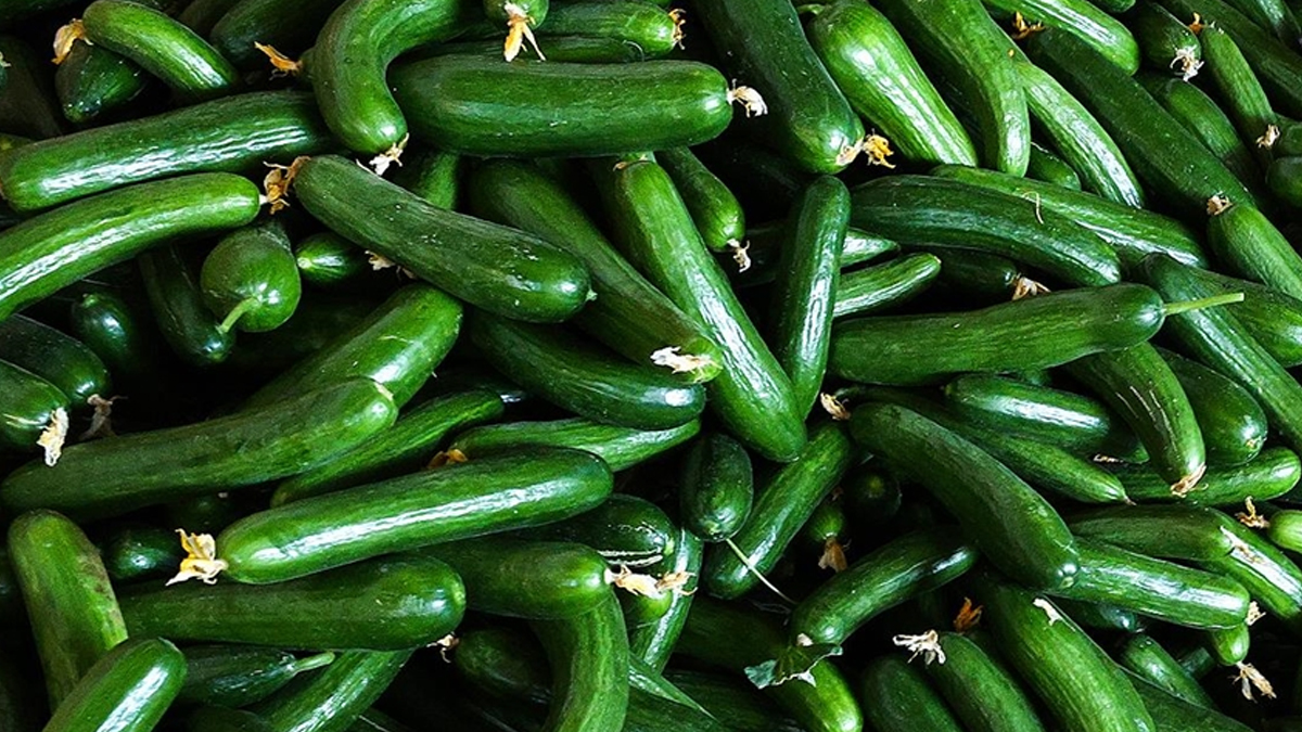 Ağustosun zam şampiyonu salatalık oldu