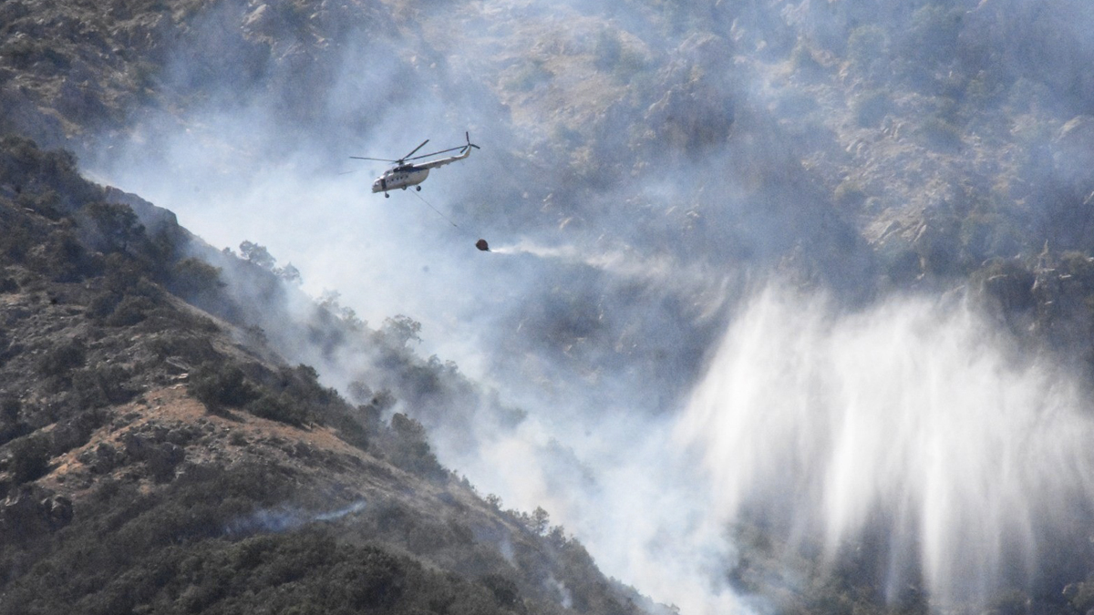 4 gün sonra söndürülen yangında 40 hektar kül oldu