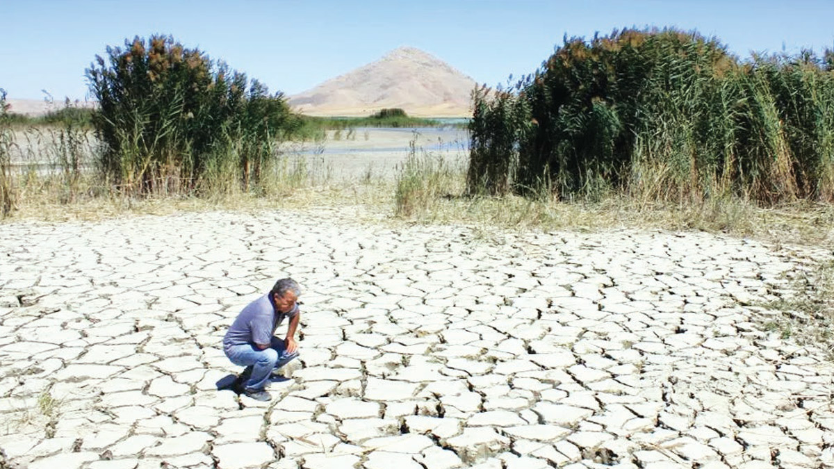 İklim değil siyaset