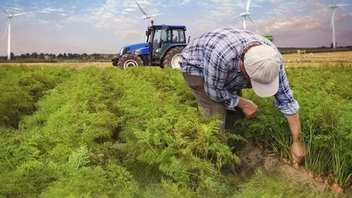 Boşuna ekmeyin kararnamesi