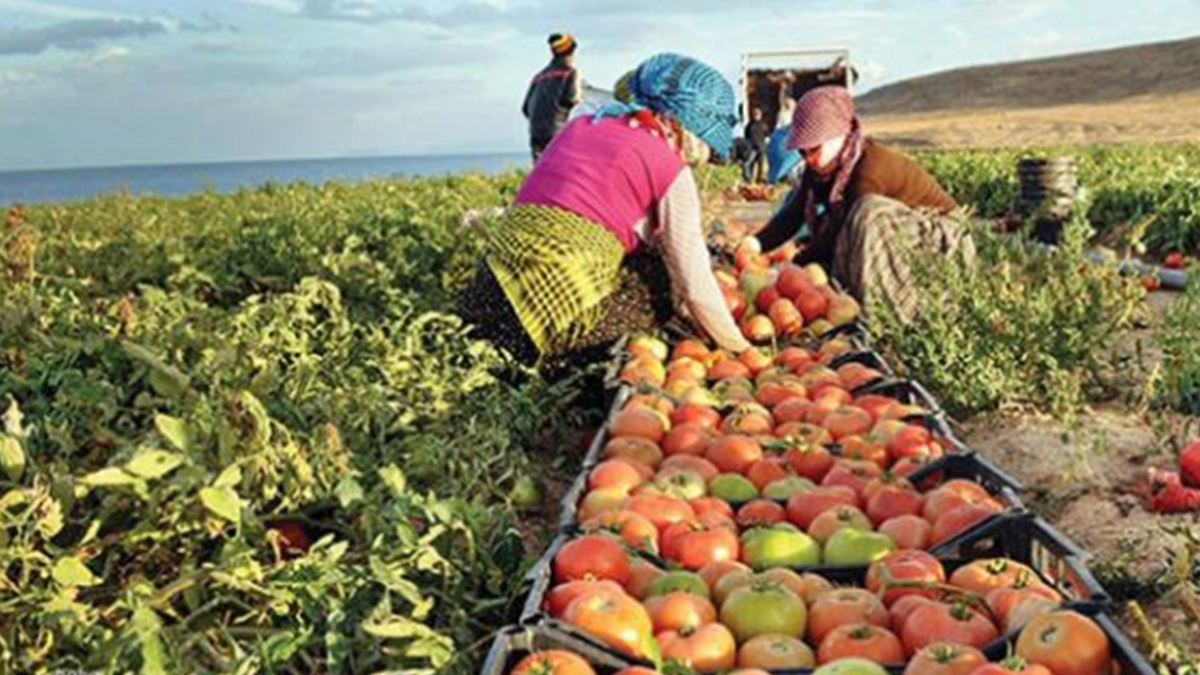 Fahiş fiyat baskınları maliyetleri durdurmuyor