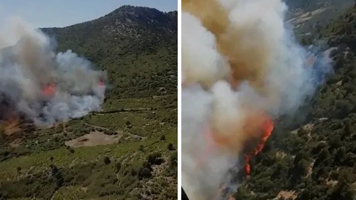 Burdur'da orman yangını