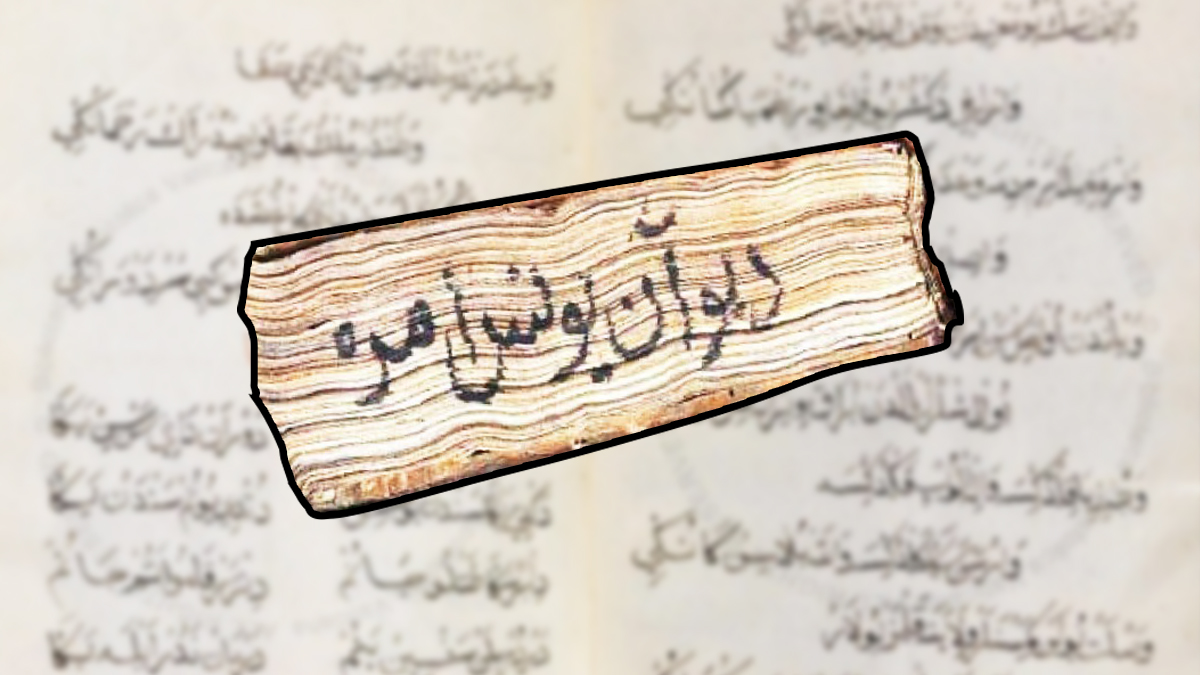 Âşık Paşa’nın bilinmeyen şiirleri gün yüzüne çıktı