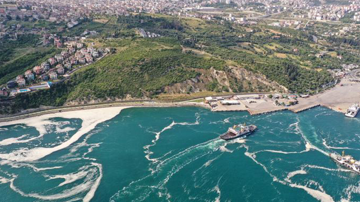 TBMM'deki 'müsilaj' komisyonunun görev süresi bir ay uzatıldı