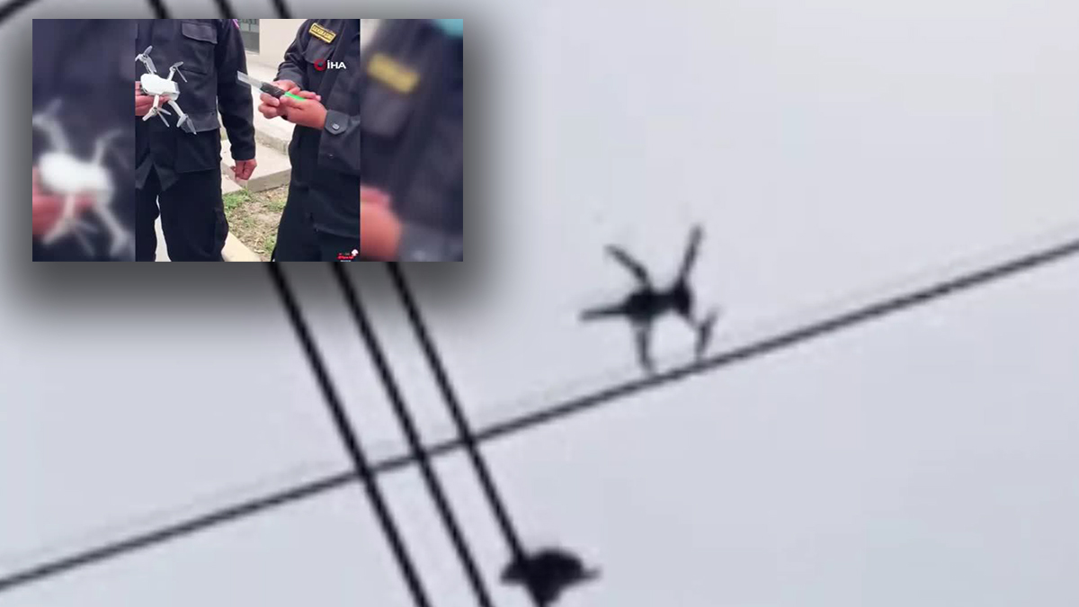 Elektrik teline asılı kalan güvercini drone ile kurtardılar