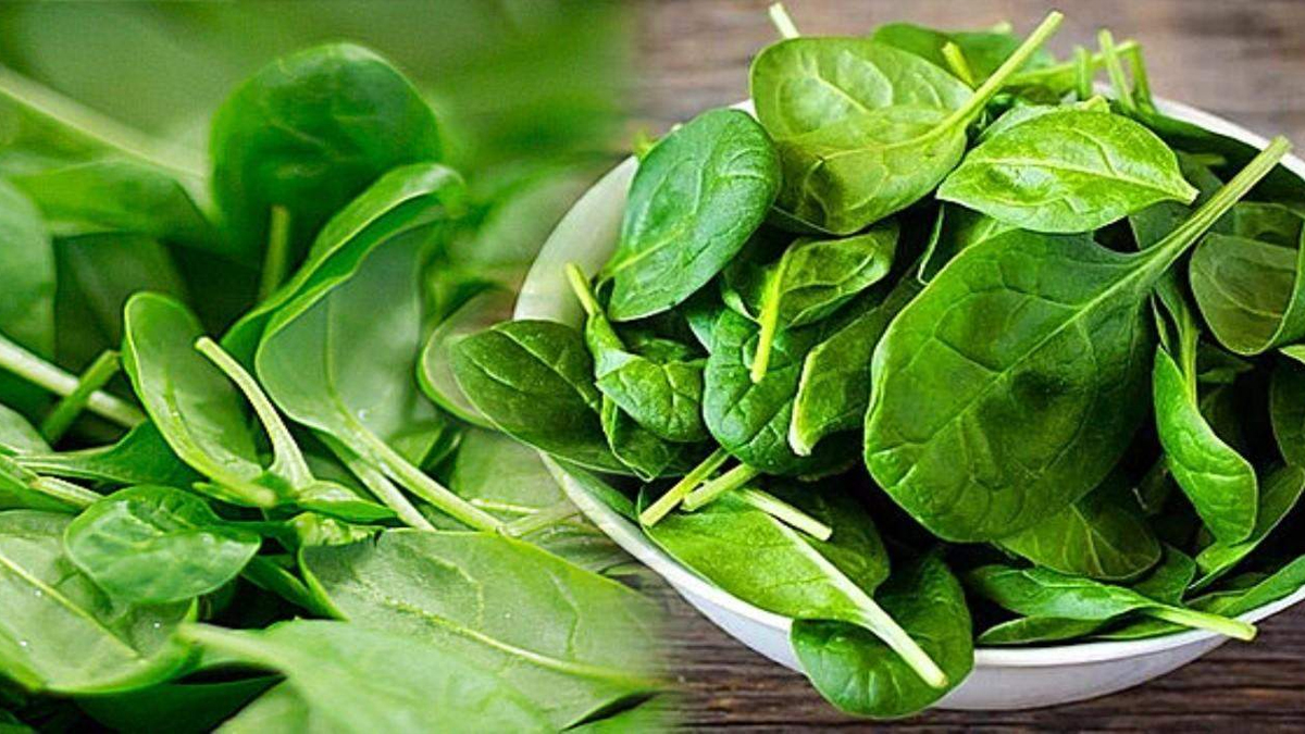 Valilik'ten 'ıspanak yemeyin' çağrısı