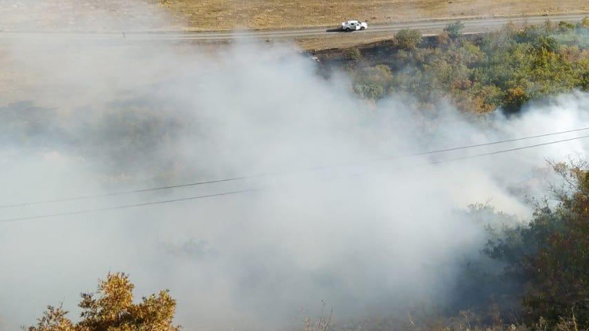 Bingöl’de iki ayrı noktada orman yangını