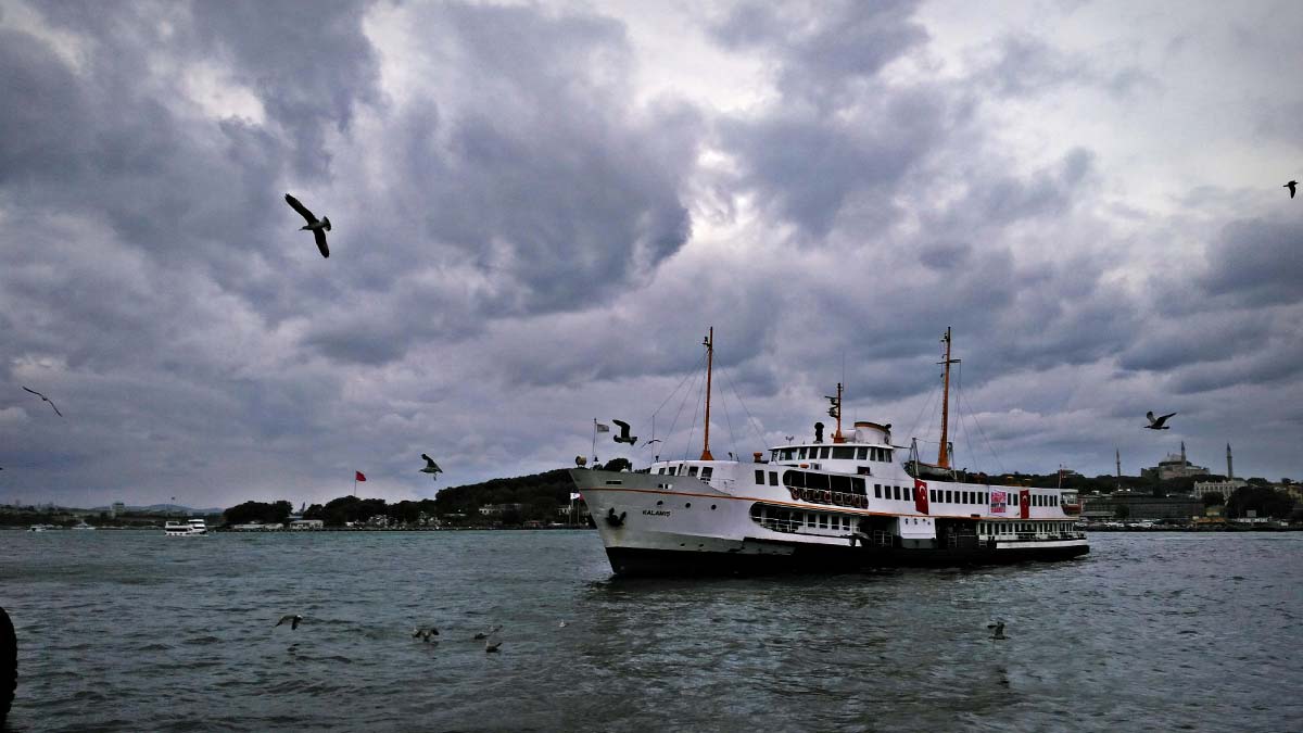 Pluviofil ne demek, kime denir? İşte pluviofil anlamı