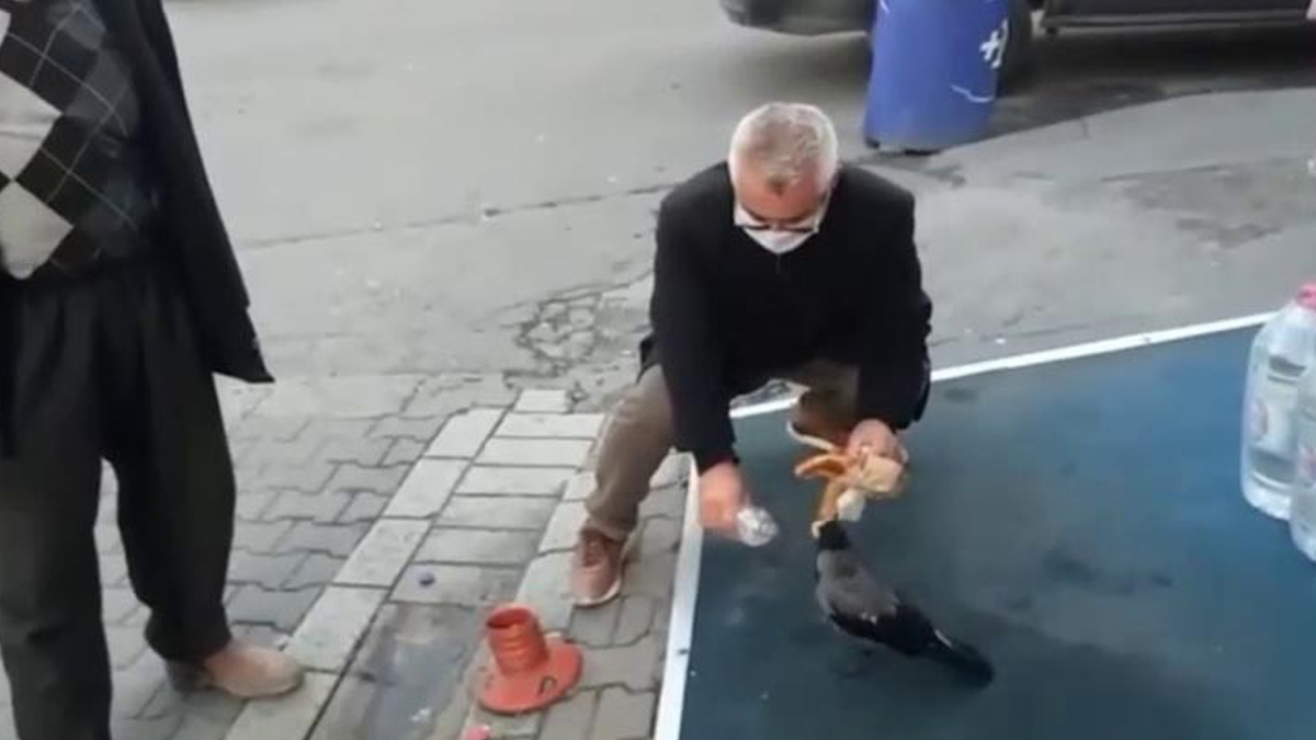 Karga ile vatandaşın sıra dışı arkadaşlığı: O benim canım