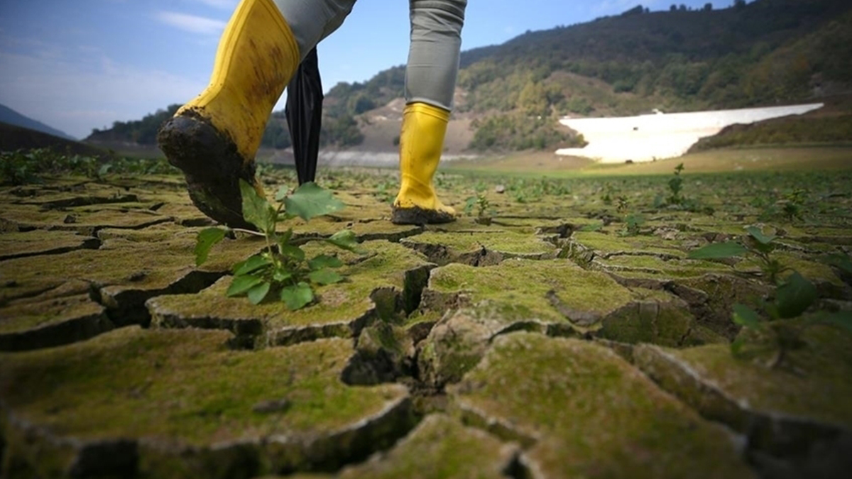 Utanç liglerinde şampiyonuz
