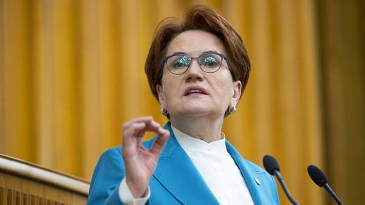 Meral Akşener'den milletvekilerine 'sağduyu' uyarısı