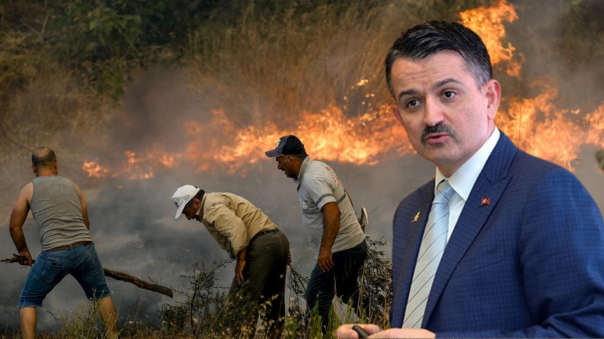 Orman yangınına uçakla müdahale reddedildi: Bu işleri insanla halledersiniz