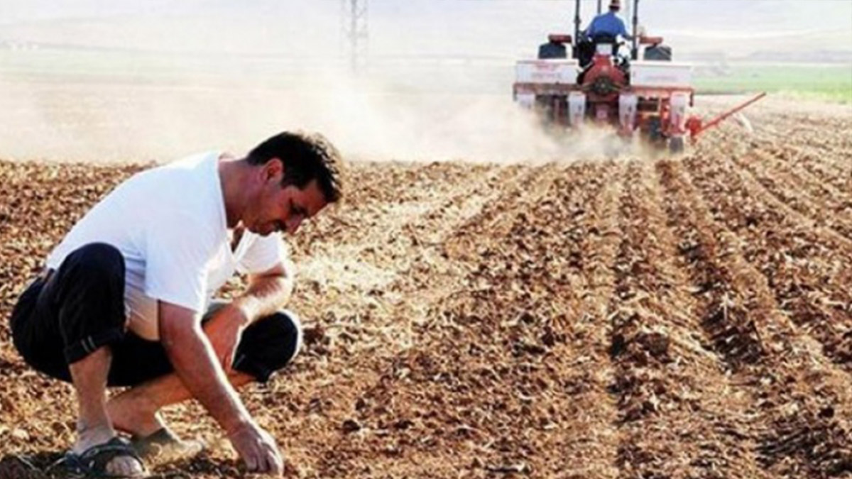 Bakan ‘zarar eden yok’ diyor çiftçi hacizle boğuşuyor