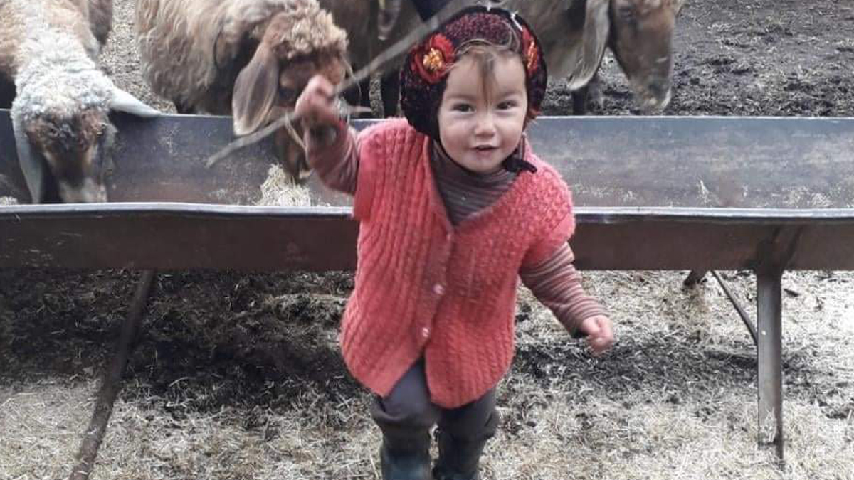 Son dakika! Kayıp Müslüme'den acı haber