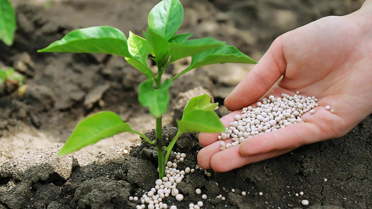 Gübre fiyatları dolarla yarışıyor