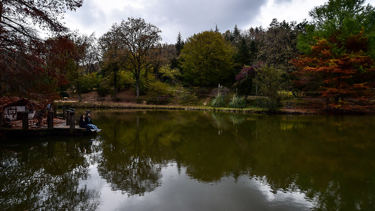 İstanbul'un masalsı diyarı Atatürk Arboretumu'na gidenler büyüleniyor