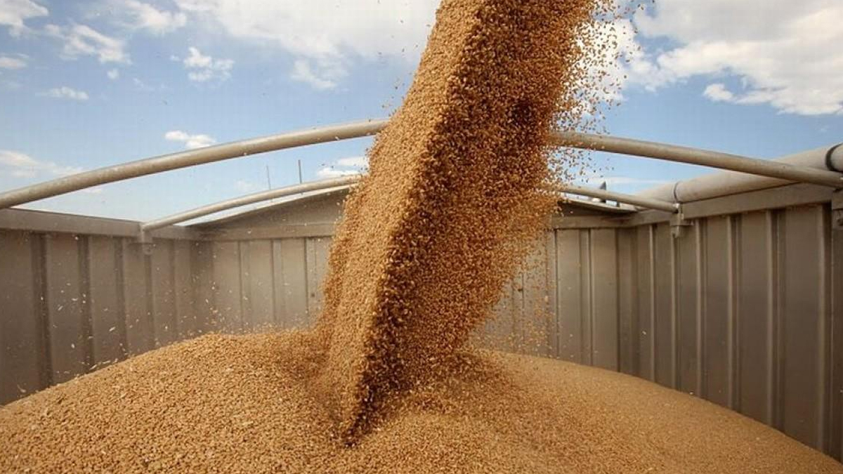 TMO, 385 bin ton buğday ithal edecek