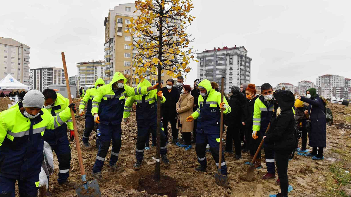 Başak Cengiz'in adı hatıra ormanında yaşayacak: Artık kadın cinayeti duymak istemiyoruz