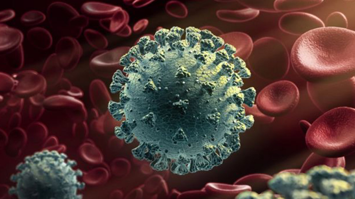 Güney Afrika varyantı korkutuyor