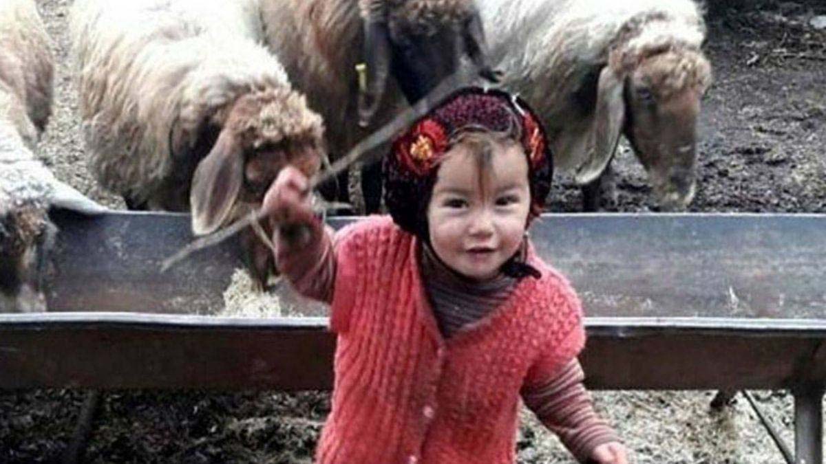 Aile Bakanlığı'ndan Müslüme'nin ölümüyle ilgili haberlere erişim engeli talebi