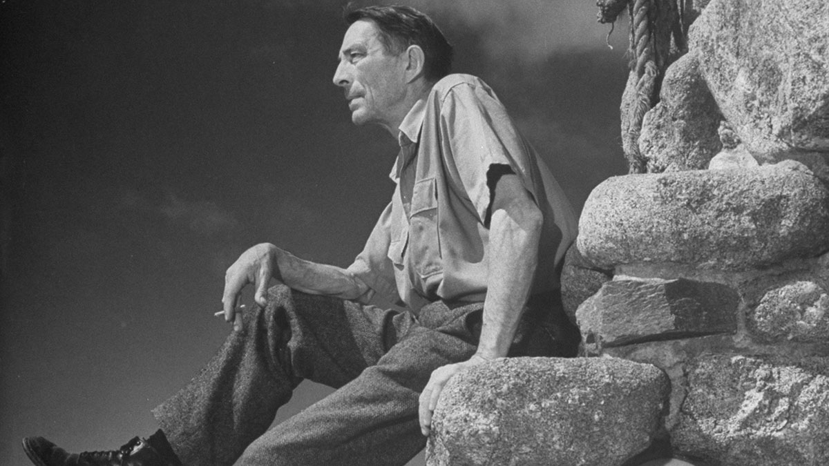 Robbinson Jeffers: Kuledeki şair