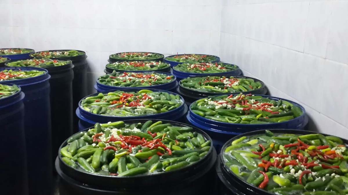 Uzmandan turşu uyarısı: Kendini zehirlemek dışında bir işe yaramaz