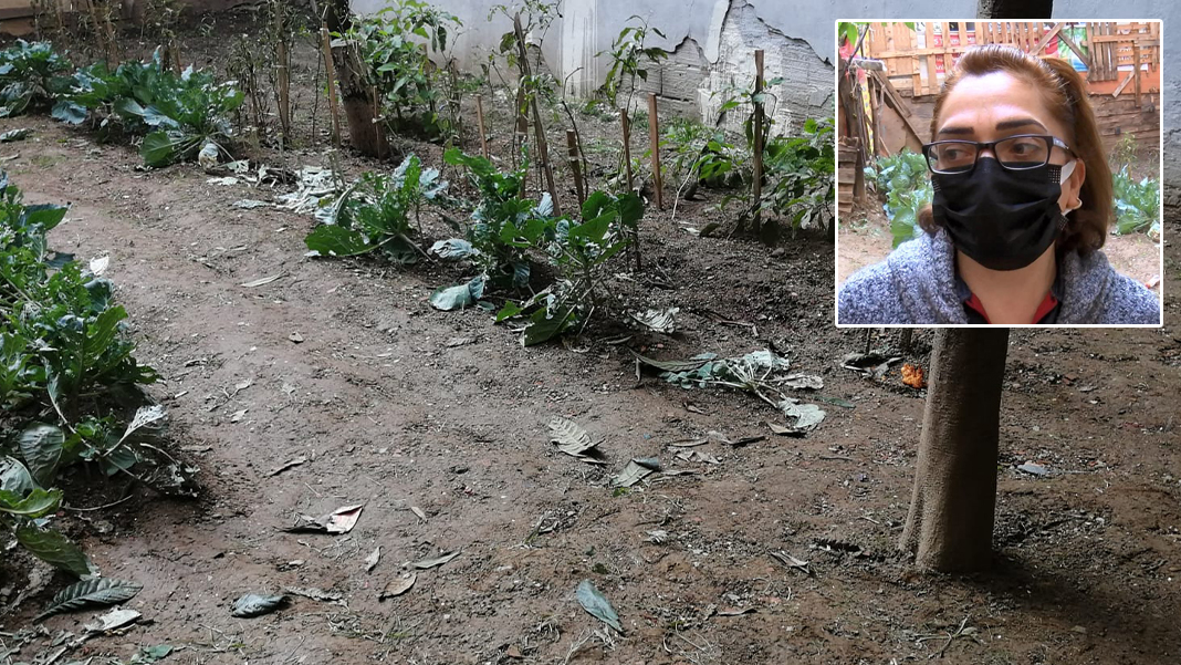 Kedi sesi diye gittiler, yeni doğmuş bebekle karşılaştılar