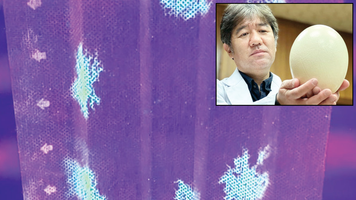 Kovid’i gösteren maske