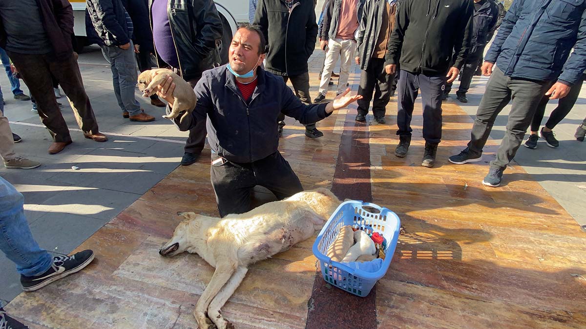 Öldürülen köpeği ile valilik önüne gelen kişi gözaltına alındı
