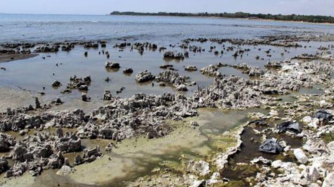 Van Gölü'nden korkutan görüntü! Sular çekilince ortaya çıktı