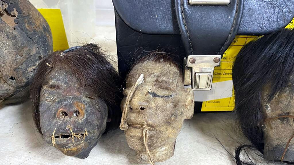 İzmir'de Jivaro yerlilerinin insan başları ele geçirildi