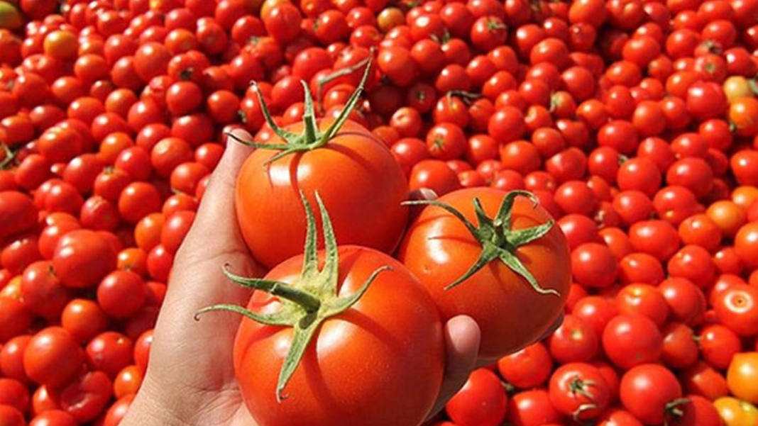 Cumhurbaşkanı Erdoğan'ı dinleyen çiftçi: Üreterek batıyoruz