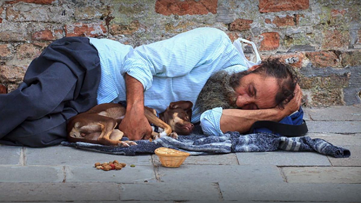 Evsizler ve sokak hayvanları için iki yeni genelge
