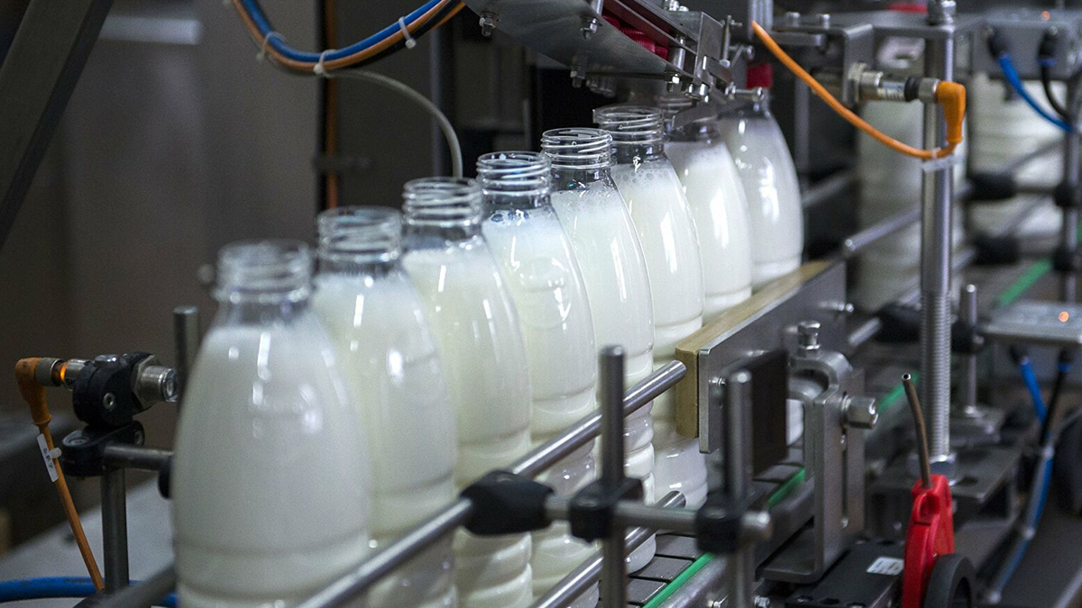 Dolardaki düşüş süt üreticisinin maliyetine yansımadı! Markette indirim imkansız