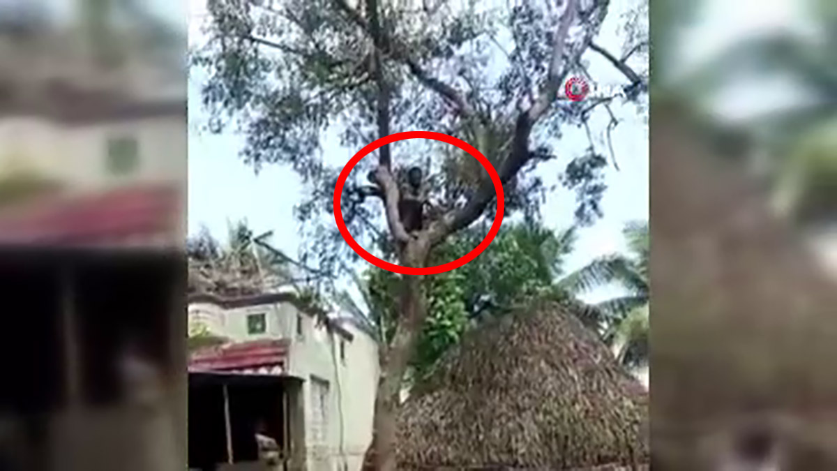 Koronavirüs aşısı olmak istemeyen adam ağaca tırmandı