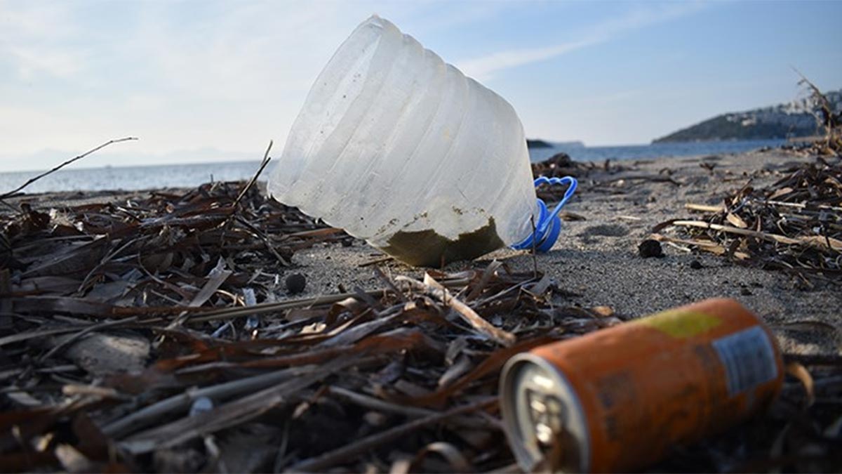 Çevreyi kirletenlere verilecek cezalar belli oldu