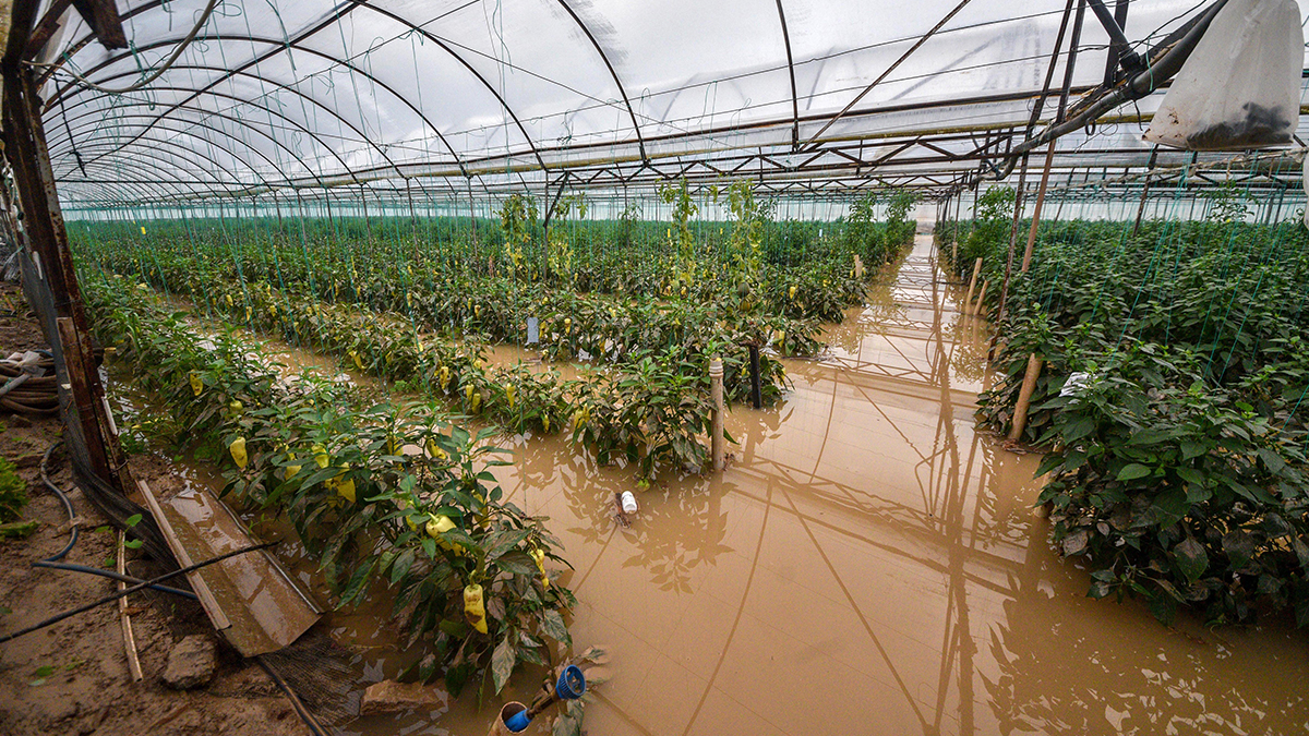 Antalya'da sel alarmı: Tehlike devam ediyor